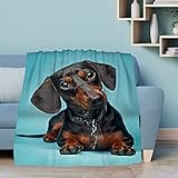 DOINBEE Dachshund Dog Blanket Dachshund Gifts Cute Black Dog Animal on Blue Throw Blankets for Men W