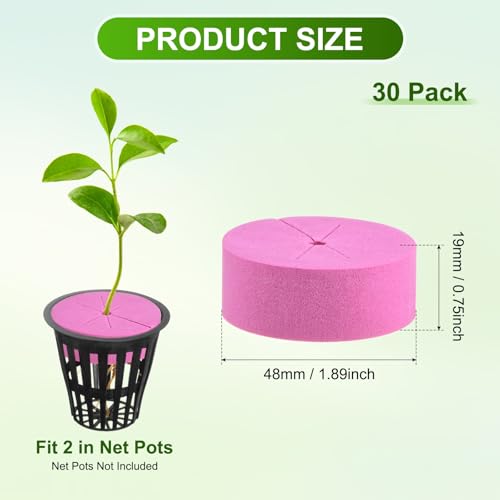 Inserts de colliers de clonage en mousse METERXITY pour système hydroponique de 5,1 cm x30 - 4