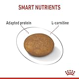 Royal Canin Light Weight Care X-SMALL | 1,5 kg | Alleinfuttermittel für ausgewachsene sehr kleine Hunde ab dem 10. Lebensmonat | Für Hunde mit Neigung zur Gewichtszunahme