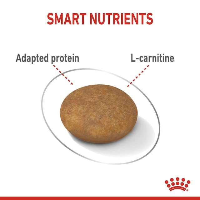 Royal Canin Light Weight Care X-SMALL | 1,5 kg | Alleinfuttermittel für ausgewachsene sehr kleine Hunde ab dem 10. Lebensmonat | Für Hunde mit Neigung zur Gewichtszunahme