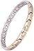 Smarter LifeStyle Elegant Titanium Magnetic Anklet for Women - Adjustable Bracelet Length with Sizing Tool for Perfect Fit, Womens Magnetic Anklet (Silver and Gold)