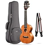 Enyaエンヤ コンサートウクレレAAA 全単板のHawaii KOAの専門家ウクレレセット(EUC-A1)