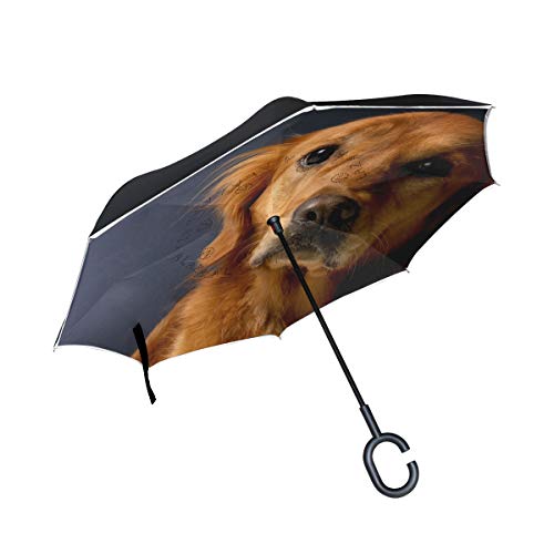 hengpai Golden Retriever Reverse Inverted Inside Out Umbrella Cars Unigue Windproof UV Proof Double Layer for Women