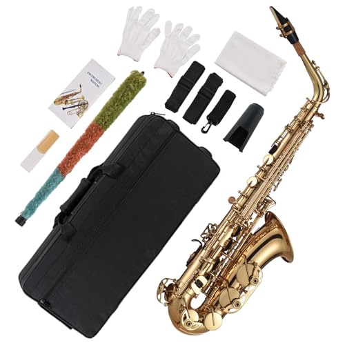 Sassofono contralto con accessori per musicisti