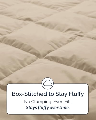 Image of Twin Size, Cream Alternative Down Comforter - Warm, Lightweight & Breathable Hotel Quality Bedding Set for Men, Women, Kids and Teens - All Season Oversized Cooling Microfiber Duvet Insert Comforter