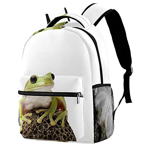 Sac à dos voyage campus grenouille verte fille garçon avec porte-bouteille intégré