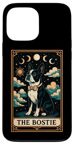 {XeB {XgeA  ^bgJ[h  X}zP[X iPhone 13 Pro Max p