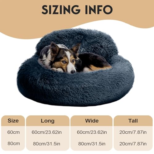Lit pour chiens avec bords surélevés pour appartement