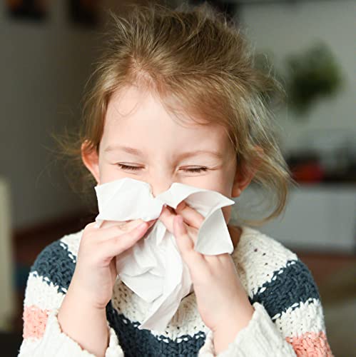 amazon basics facial tissue 2-ply 160 tissues per box 4 boxes 640 total previously solimo