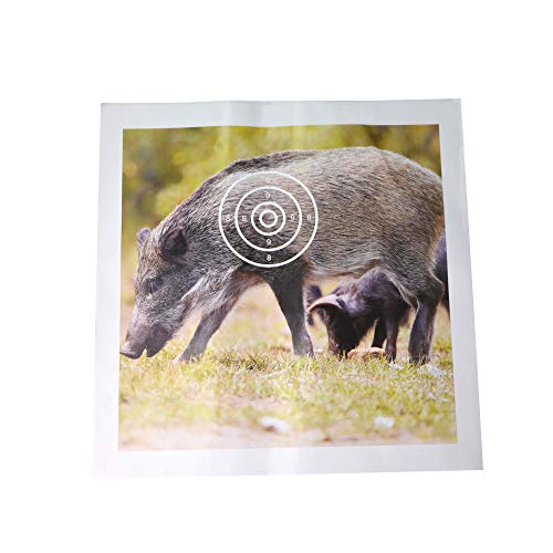 Cinghiale di carta bersaglio 38 × 38 cm con 4