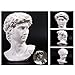 LKXHarleya 11.8 Inch Classic Greek Michelangelo David Bust Statue Replica Sculpture Figurine for Artist