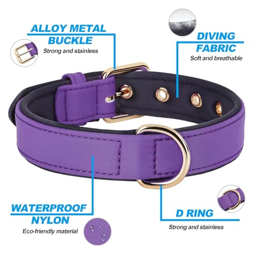 Didog Soft Padded Dog Collars for Small Dogs, Lightweight and Breathable Dog Collar with Metal Buckle for Puppy, Purple, S by Didog - Image 5
