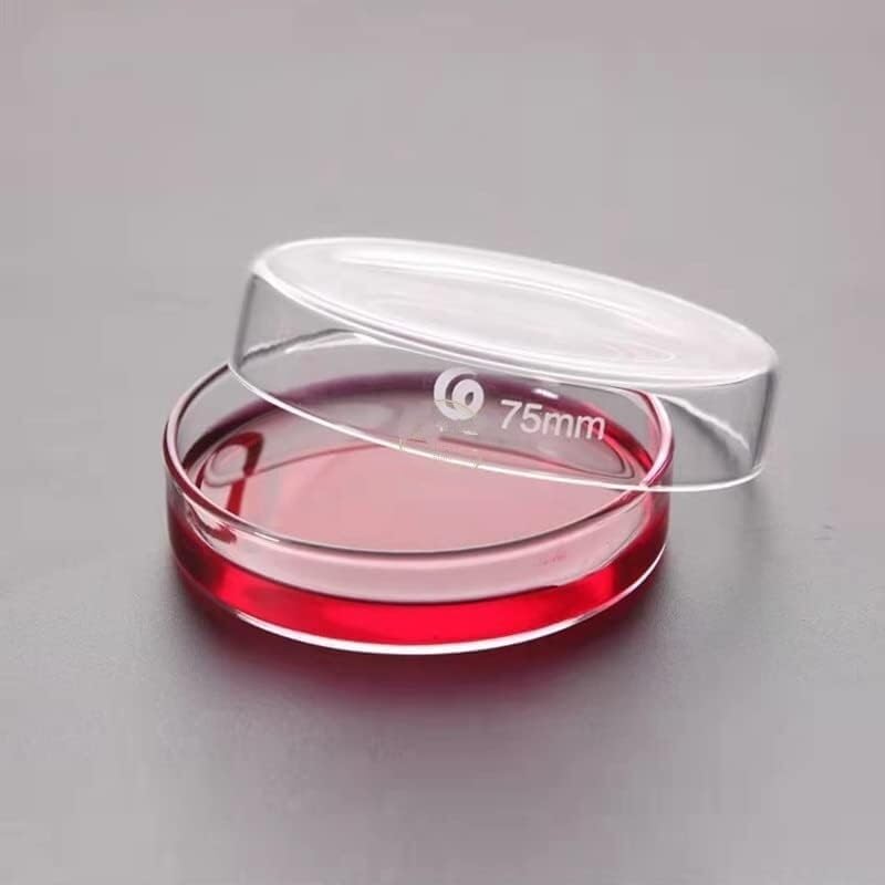 Klare Glas-Petrischalen mit Deckel, Mikroorganismen-Zellen, klare sterile chemische Instrumente, Direktversand-Petrischalen (Größe: 60 mm, 10 Stück)(75mm 10pcs)