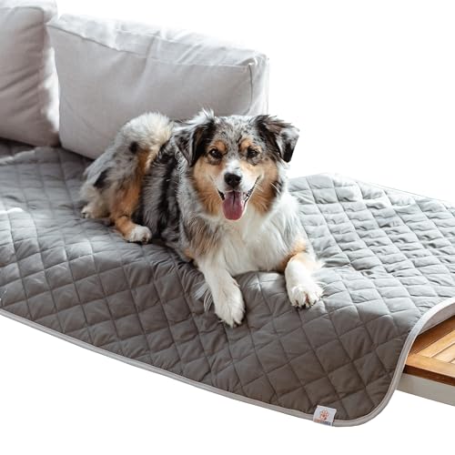 Couverture pour chien imperméable lavable 210 canapé voiture