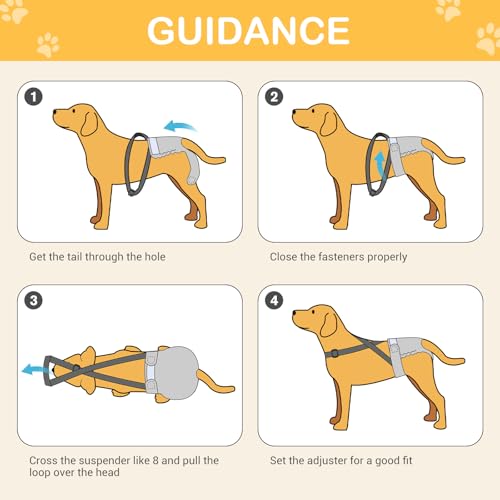 Avont Fralda Lavável para Cães Femininos com Suspensório, Fraldas Reutilizáveis para Cachorrinhos pa