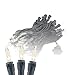 Novelty Lights 100 Light Clear Christmas Mini Light Set, Black Wire, 34' Long
