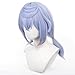 maysuwell Anime/Game Sigewinne cosplay wig Purple Blue wigs with Two Ponytail Long Straight wig for Women Halloween,Christmas,Daily Fashion Comic con,Party
