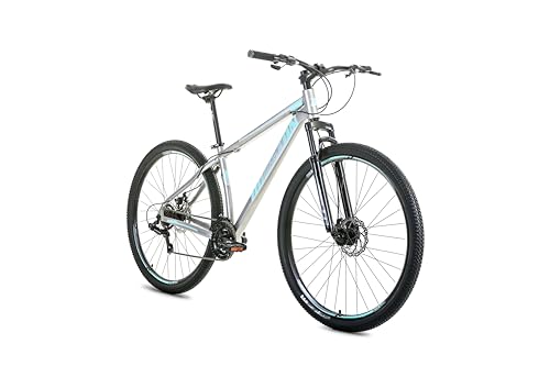 Bic. Skyler Aro 29 TM:17 Inox