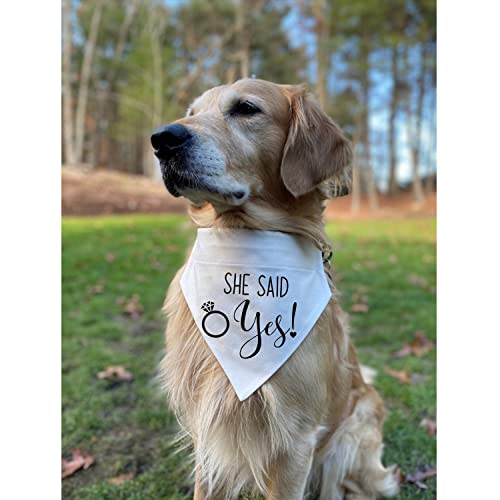 Engagement Gift, My Humans Are Getting Married Dog Bandana Collar, Wedding Photo Prop, Pet Scarf, Dog Engagement Announcement, Pet Accessories (Large, Black+White) #TOP3