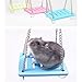 MANON ROSA Hamster Toys for Small Animals Home Decor Wooden Exercise Swing Seesaw and Bridge Set for Guinea Pigs Chinchillas Gerbils Mice Rats