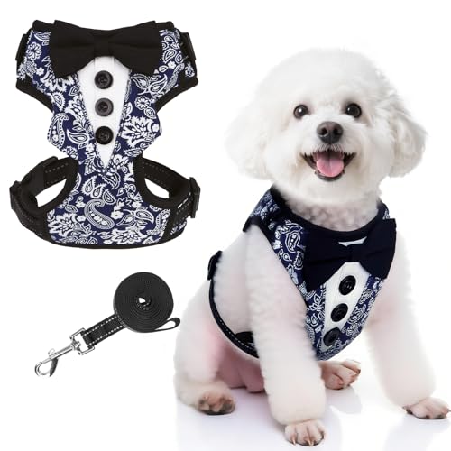 EXPAWLORER Dog Tuxedo Harness, Adjustable No Pull Pet Vest Harness with Leash Wedding Suit Attire with Bow Tie, Soft Padded Step-in Party Outfit Costume for Puppy Small Medium Dogs, Blue M
