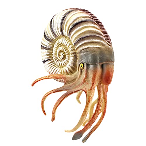 シミュレーション海洋動物ヤドカリ置物樹脂モデルインタラクティブ学習小道具自動車装飾科学置物オフィス用