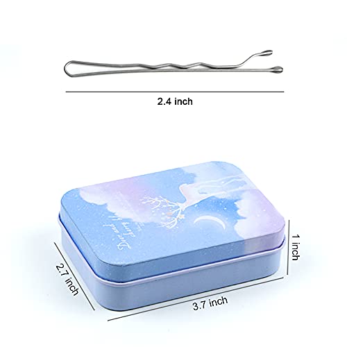 Hair Bobby Pins With Cute Case, 200 Ct Bobby Pins For Buns, Premium Hair Pins For Kids, Girls And Women, Great For All Hair Types (Silver) #TOP2