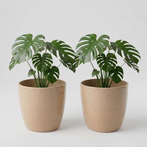Image of YUCCABE ITALIA SHERA Stella 10 Inch Plastic Plant Pot for Home Decor Indoor Plant Pots for Living Room Plastic Flower Pot for Garden (Stone Beige, 10 INCH - 2 Pcs)