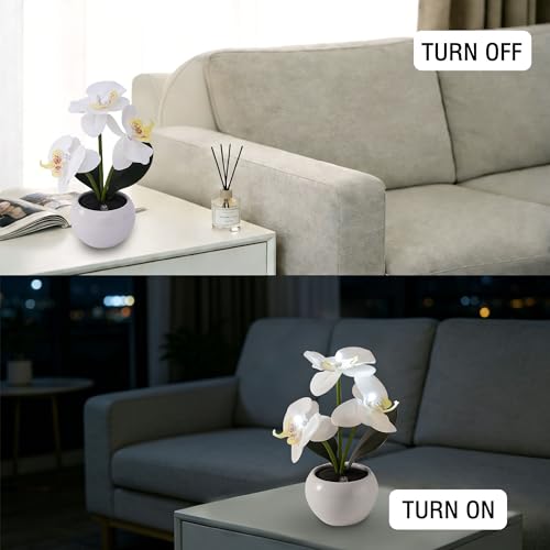 Image of White Artificial Orchid Lamp, Cordless Touch Control Floral Night Light, Valentine's Mothers Day Wedding Birthday Gift for Mom Wife Friends, Floral Table Light for Bedroom Indoor Home Ornament