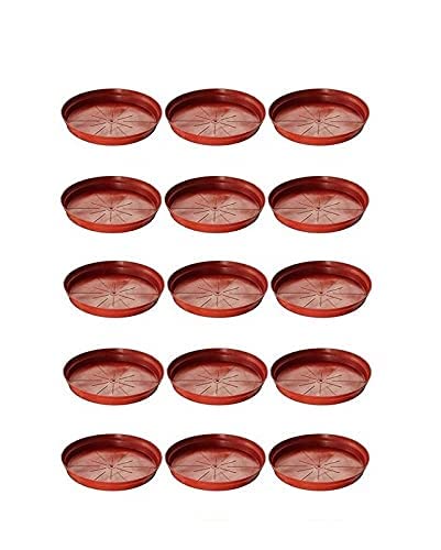 See full amazon price history chart for Upjau Plants Plastic Pot Saucer, Base Plate Planter Tray|Planter Bottom Plate/Gamla Dripping Tray, Terracotta Color Plastic pots | (Brown, 6-inch) (Pack of 12) Upjau Plants Plastic Pot Saucer, Base Plate Planter Tray|Planter Bottom Plate/Gamla Dripping Tray, Terracotta Color Plastic pots | (Brown, 6-inch) (Pack of 12) (B0CJC2HGFD) Amazon Price History, Amazon Price Tracker