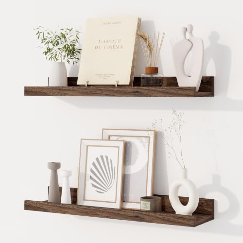 Dreamland Picture Ledge Shelf for Wall, Floating Shelves Set of 2,20 inch Long Floating Shelves with Lip for Living Room,Bedroom,Bathroom,Kitchen,Walnut