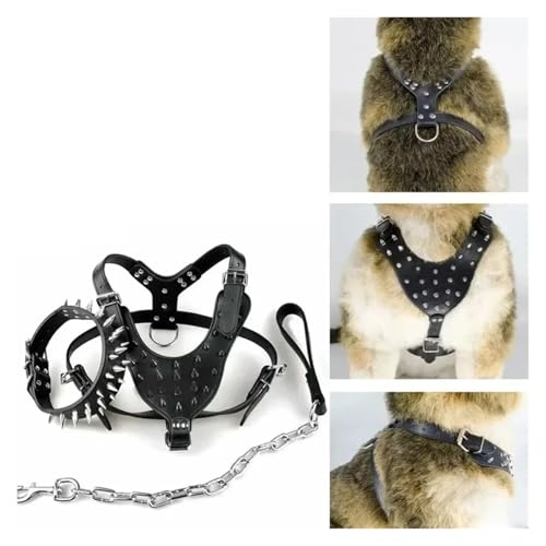 Laisse en cuir pour chien de petite taille, idéal balade