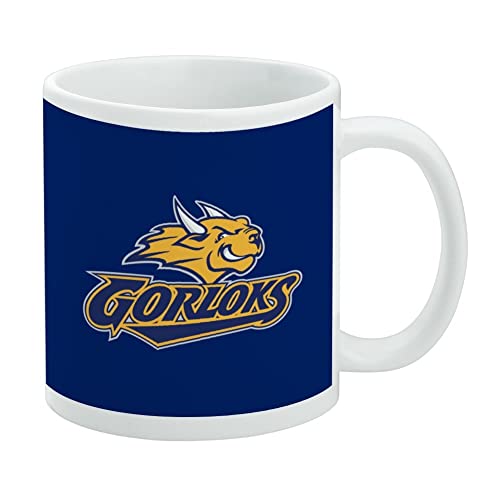 Webster University - Tazza da caffè in ceramica con logo primario, idea regalo per caffè, tè e bevande calde, 325 ml, colore: bianco Webster University - Tazza da caffè in ceramica con logo primario, idea regalo per caffè, tè e bevande calde, 325 ml, colore: bianco