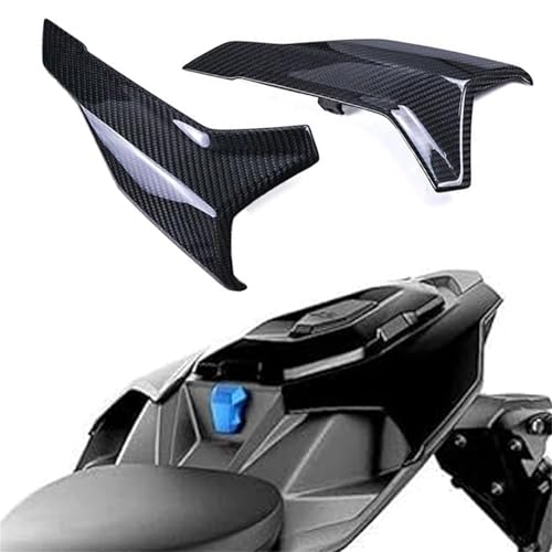 Ailettes de carénage contre les impacts de gravillons sur BMW S1000R carbone