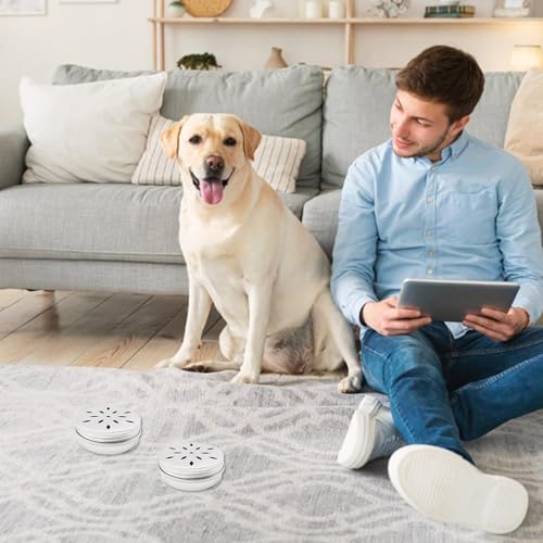 Billowvolve 10 Stück Runde Hundeduft-Trainingsbox Geruchstrainingsdosen für Hunde Training Geruchsbehälte Dose Metalldosen mit Belüftungslöchern Geruchsfähig Trainingsgeräte