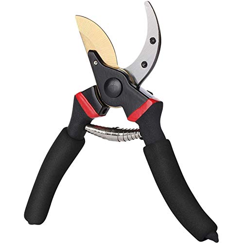 WSDM Pruning Shears, Garden Shears, 8