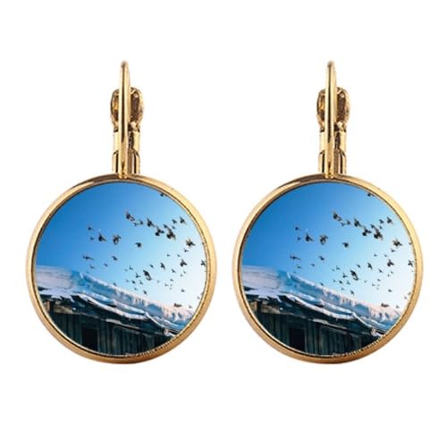 Boucles d'oreilles pendantes à clipser maison d'oiseaux blanc sans perçage sans douleur