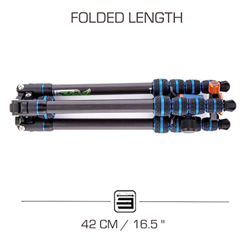 3 Legged Thing Punks Brian 2.0 Carbon Fibre Travel-Friendly Tripod - Compact & Adjustable Camera Tripod With Three Detachable Legs - Blue/Black (Brianblue2.0) #TOP3