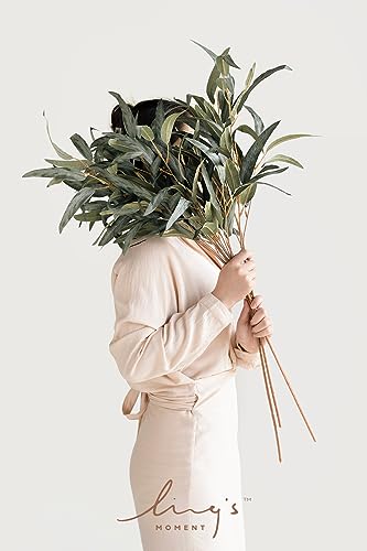 Ling’s Moment Artificial Plants Salix Leaves Branches,4Pcs 17.5"Tall Sage Green Fake Willow Greenery Filler Decor w/Stems, Lifelike Texture Plant Decor for Wedding Bouquets/Table Centerpieces, Office