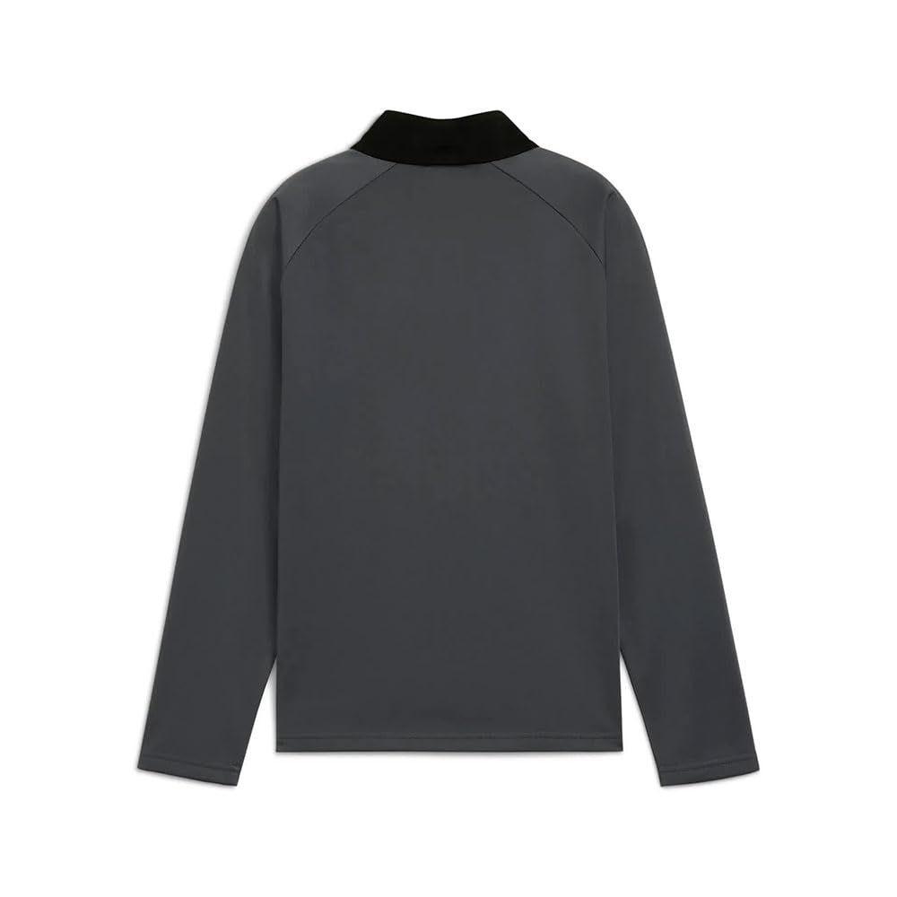 PUMA Individualliga 1/4 Zip Sweatshirt Kids grau, 176 Kinder