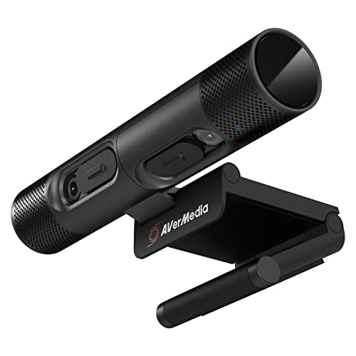 Caméra Web AVerMedia PW313D 2K30fps avec double webcam Full HD 1080p pour Skype et PC