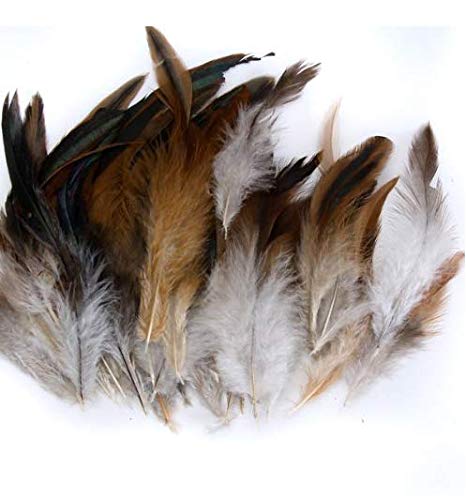 DDGE DMMS - Plumas de Gallo Decorativas Naturales - Ideal para Ropa, Sombreros, decoración del hogar, etc.