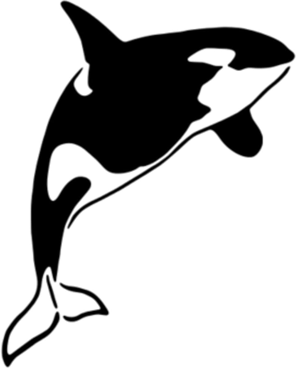 Azeeda 'Killer Whale' Reusable Stencil – Durable Decorative Template for Painting and Spraying on Walls, Tiles, Wood, Fabric & Craft Projects - XXL (A2) (WS00016370)