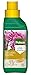 Pokon Orchideen-Flüssigdünger 250ml - Flüssige Spezialnahrung für alle Orchideenarten mit Extra Magnesium und Eisen, grün