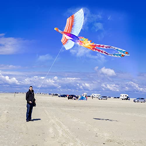 Mint’s Colorful Life Rainbow Phoenix Kite For Kids And Adults, Easy To Fly Large Beach Kites #TOP4