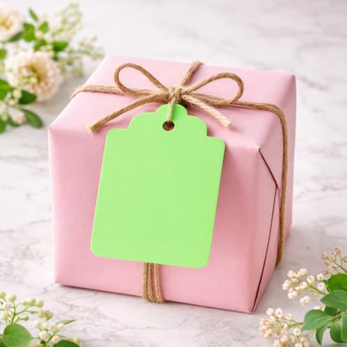 Image of CVANU 300pcs Premium Color Tag Blank Hanging with Pre-Punched Hole Tags for DIY Crafts, Gift Wrapping, Labelling & Writable Decorative Tags for All Occasions (2.85in X 1.7in) Light Green