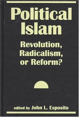 Political Islam: Revolution, Radicalism, or Ref... 155587262X Book Cover