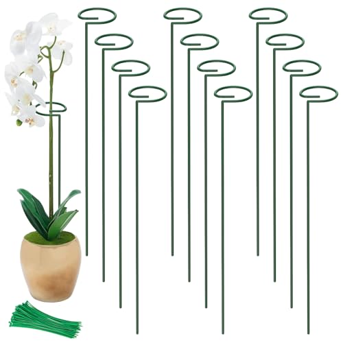 Unves 16 Tall Plant Support Stakes 12 Pack Garden Flower Plant Stakes Single Stem Garden Plant Support Cages Rings for Amaryllis Orchid Peony Rose with 100 Pcs Twist Ties