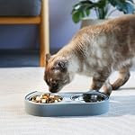 Cute Cat Bowls for Indoor Cats & Kittens – Double Stainless Steel Cat Food and Water Bowl Set, Pasco Silicone Feeding Station, 350ml Dishes for Wet & Dry Food - Image 6