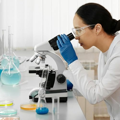 Research & Development Tax Credit Update (2025)